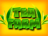 Чайная ферма
