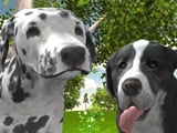 Игра Симулятор Собаки 3Д